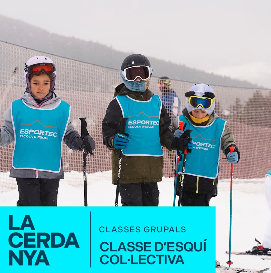 CLASE COLECTIVA ESQUÍ ALPINO  (3H)