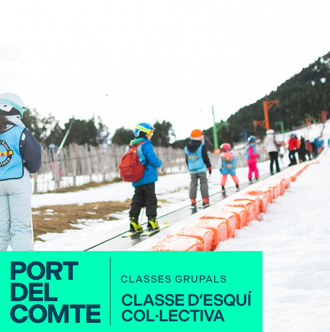 CLASSE COL·LECTIVA ESQUÍ ALPÍ (3H) PORT DEL COMTE